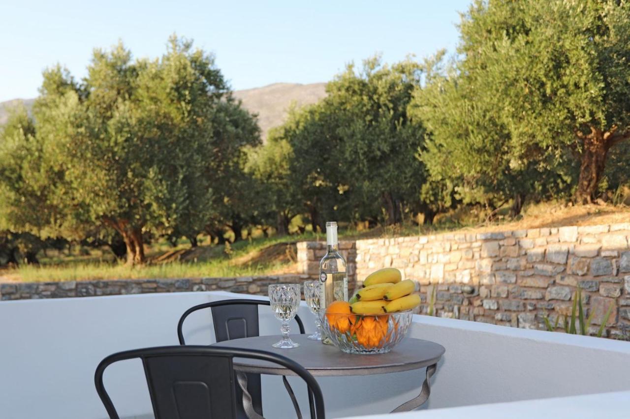 Villa Drosia - Nature Getaway! Plakias Exterior foto
